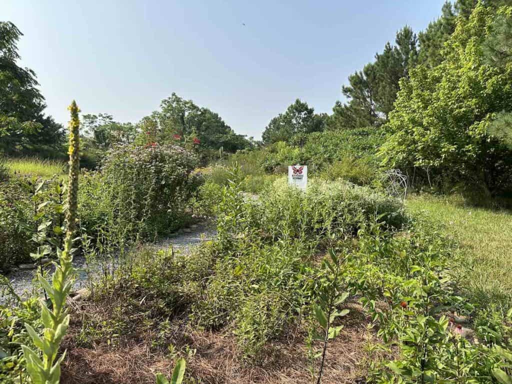 Butterfly garden at Kings Mountain Gateway Trails