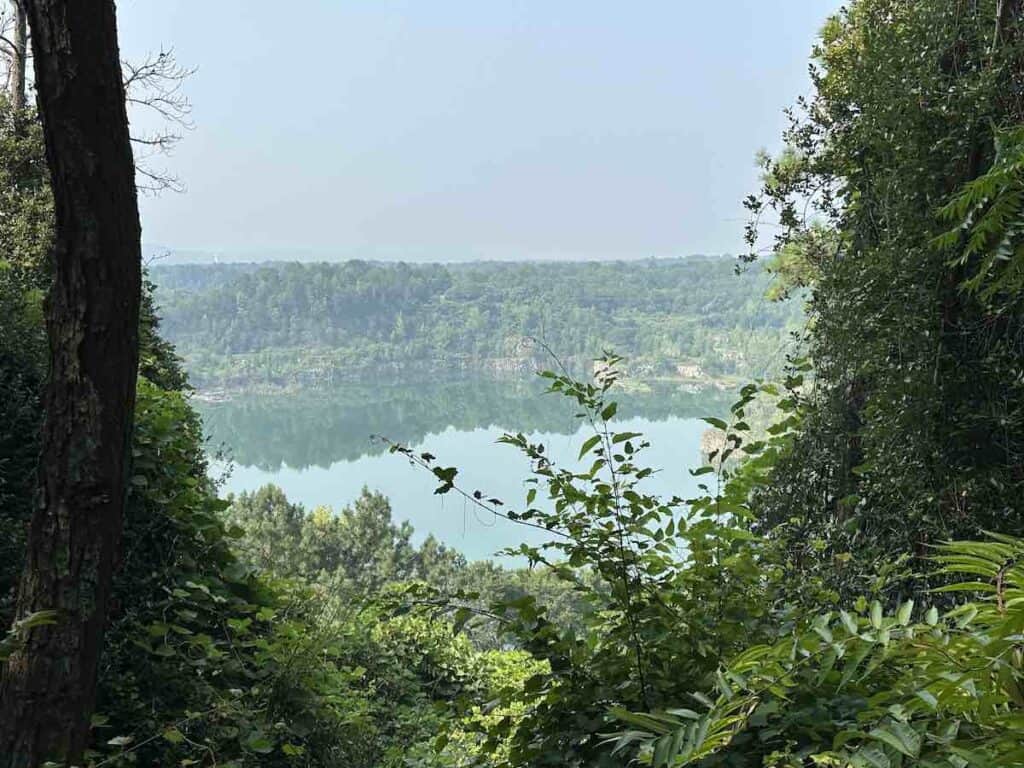 View of water through woods at Kings Mountain Gateway Trails