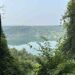View of water through woods at Kings Mountain Gateway Trails