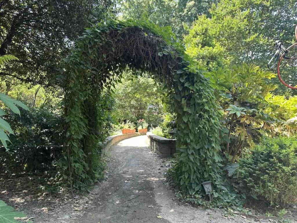McGill Rose Garden