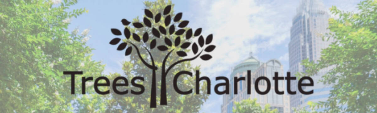 TreesCharlotte logo with Charlotte skyline background