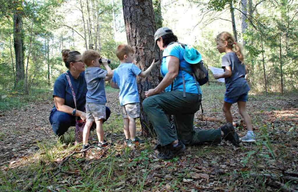 children and adults looking at the bark of a tree