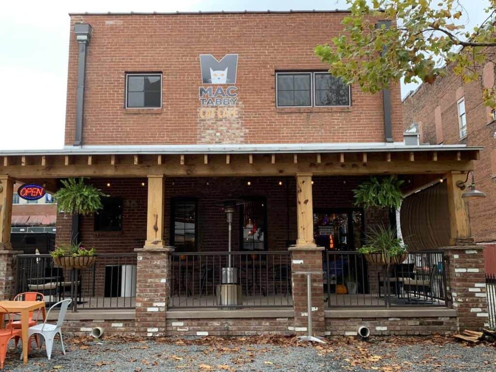 exterior of Mac Tabby Cat Cafe in Concord