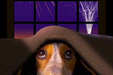 illustration of dog under blanket near a window while fireworks go on outside