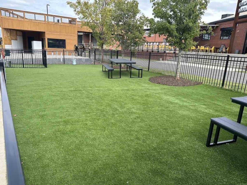 dog park at Urban District Market