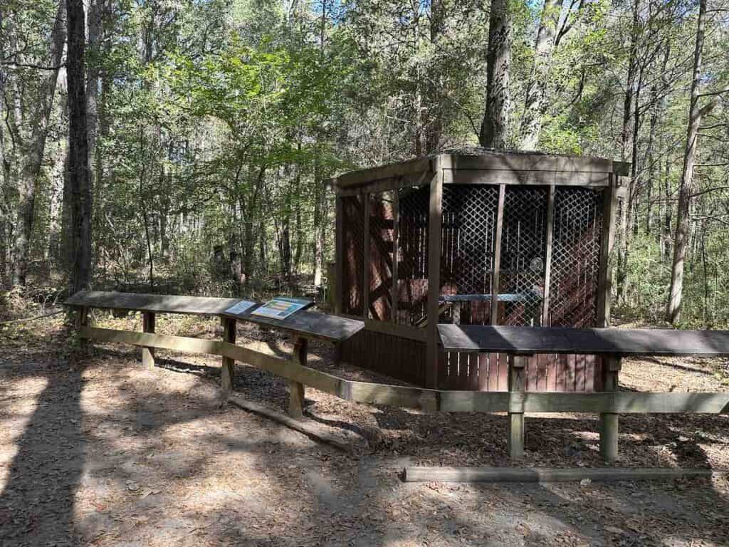 trail and enclosure in woods at Carolina Raptor Center
