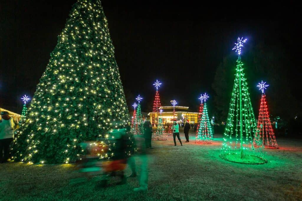 Christmas trees at Kannapolis' Celebration of Lights