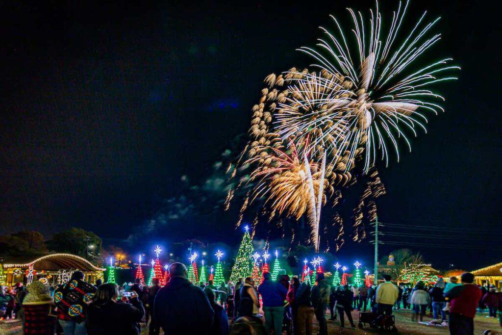 Crowd watching fireworks above Christmas trees