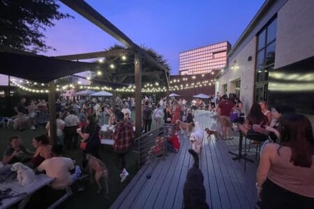 people and dogs at a dog bar