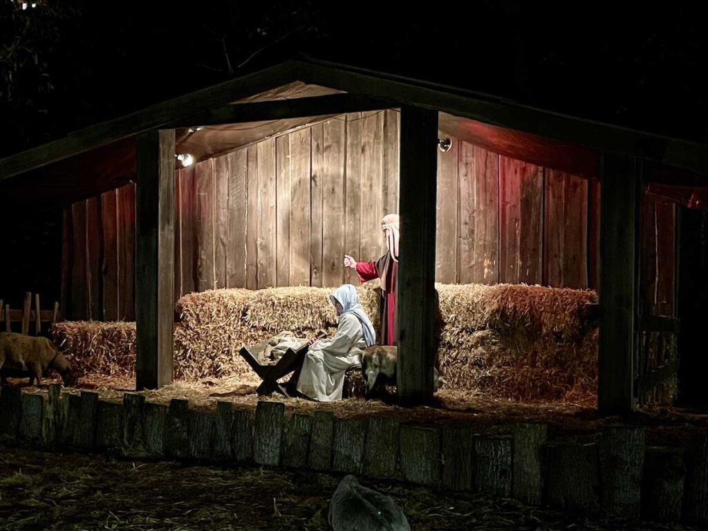 manger scene at Christmas at the Library