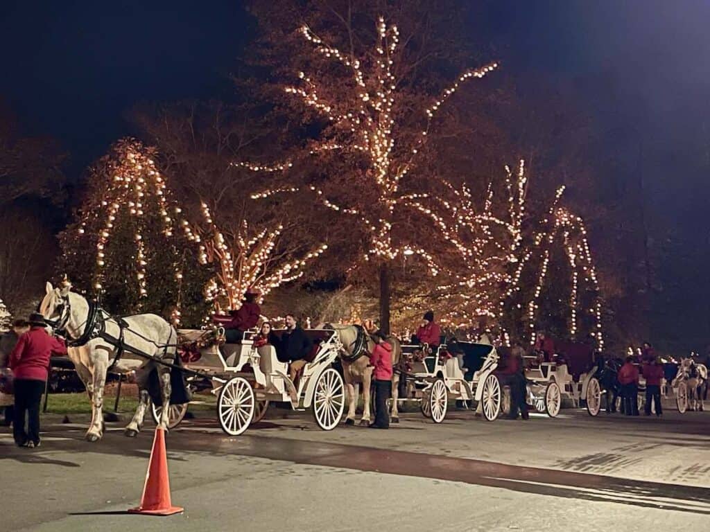 Horse drawn carriages at Christmas at the Library