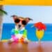 dog at tropical bar
