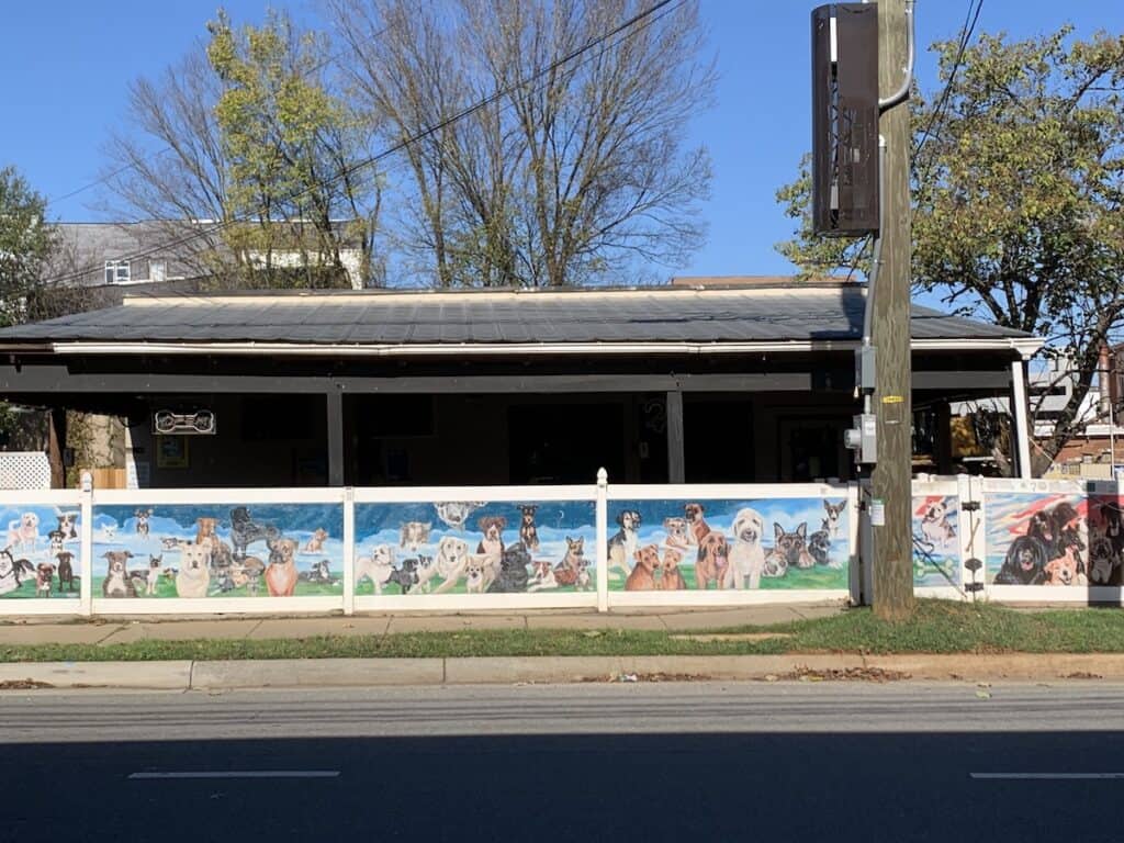 Dog Bar NoDa
