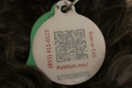 pet license