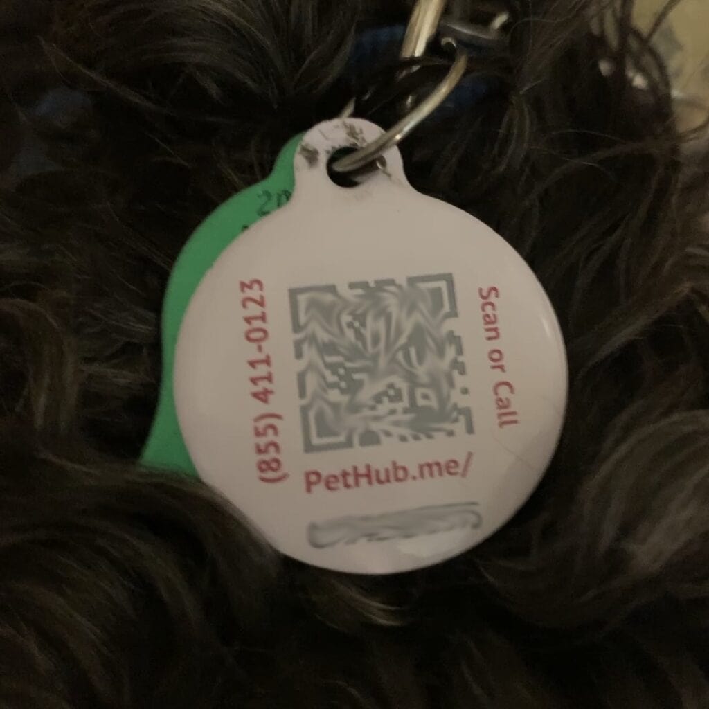 pet license