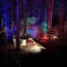 lighted playground in woods