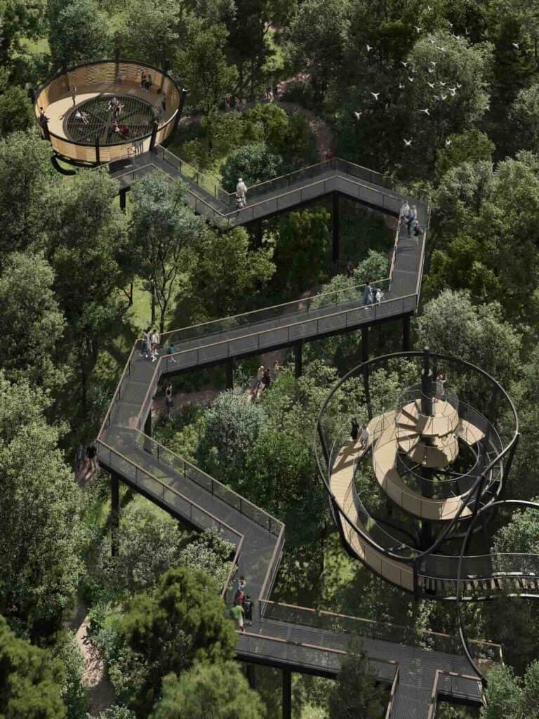 treetop canopy walk rendering