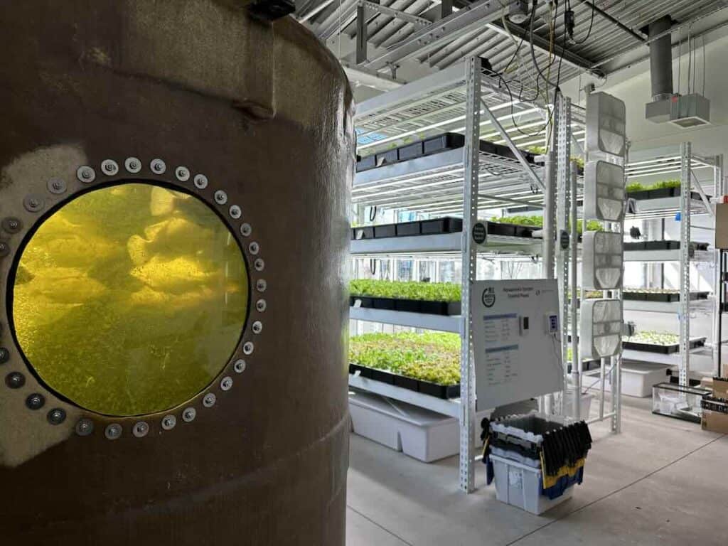 Fish in tank and plans in vertical farm