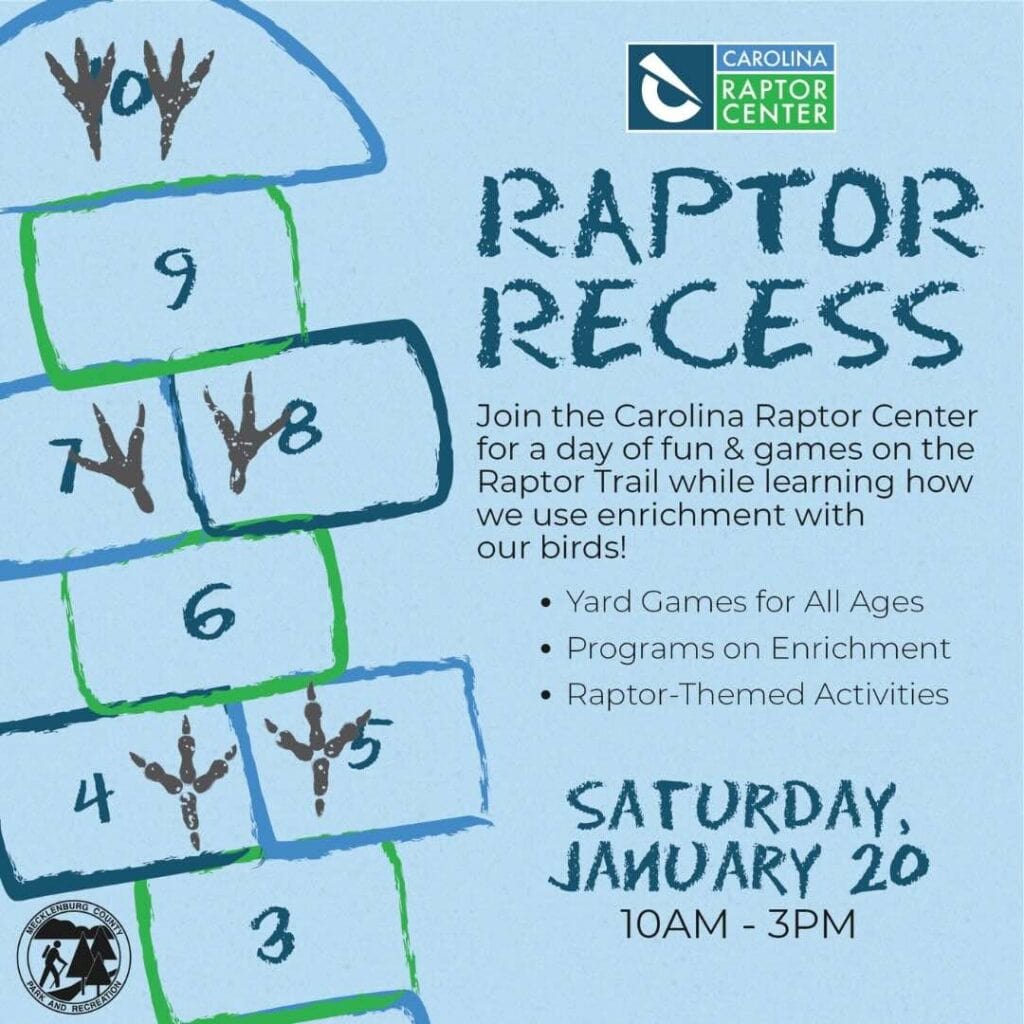 poster for Raptor Recess