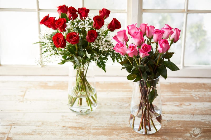 Two dozen roses in two vases