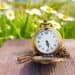 Open vintage pocket watch placed on a rustic wooden table, beautifully set against the backdrop of a blooming daisy field.