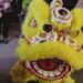 Lion Dance at Lunar New Year celebration