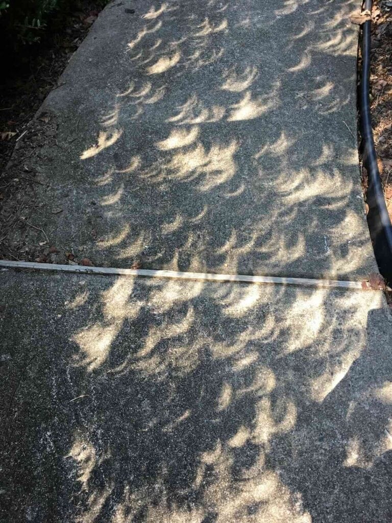 Crescent shaped shadows and lights on pavement, due to solar eclipse