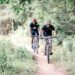 2 people riding bikes on a trail