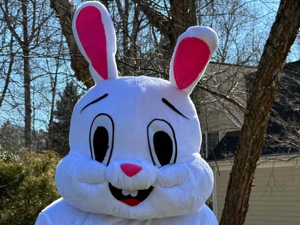 close-up picture of Easter Bunny