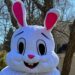 close-up picture of Easter Bunny