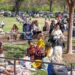 people relaxing on the lawn of Mint Museum Randolph