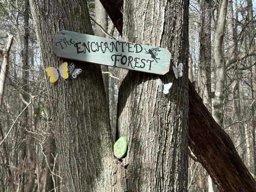 wooden sign that says "The Enchanted Forest" on tree