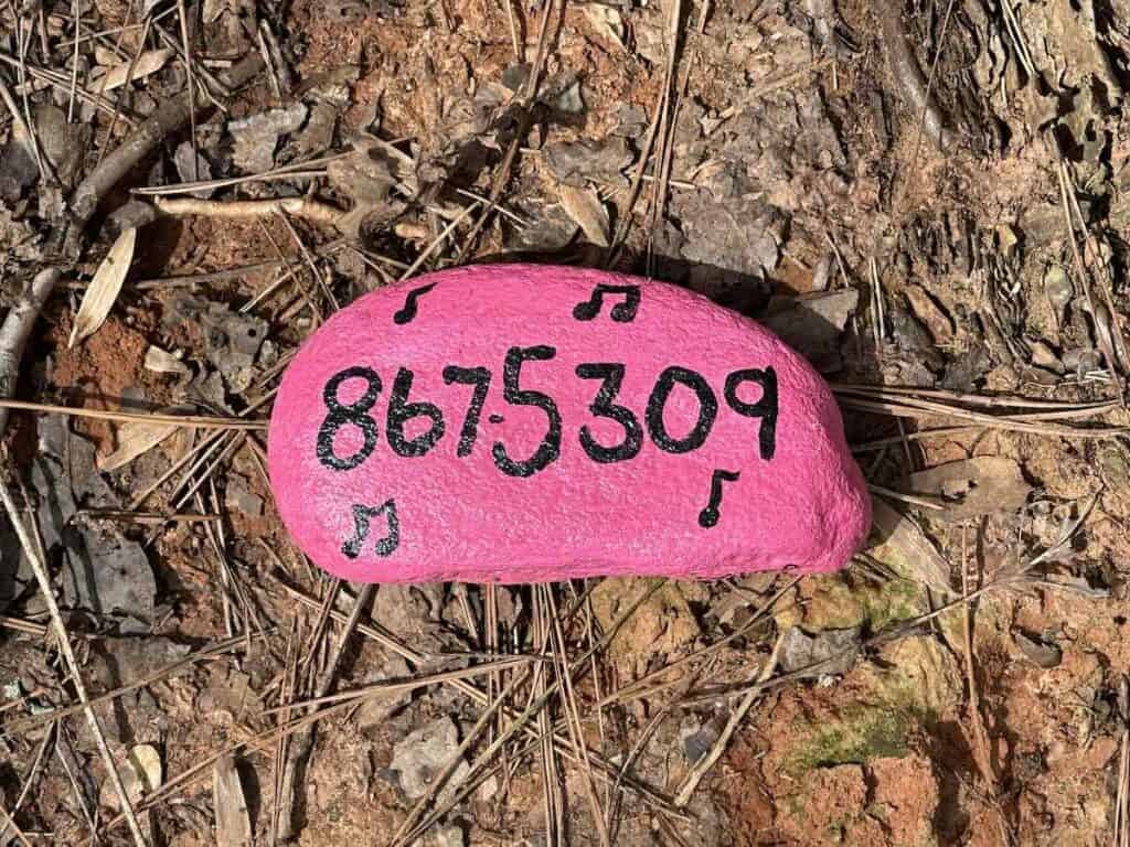 Pink rock painted with the phone number 867-5309 and music notes