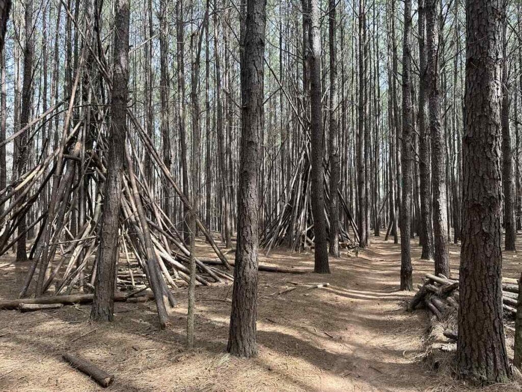Two structures in the woods