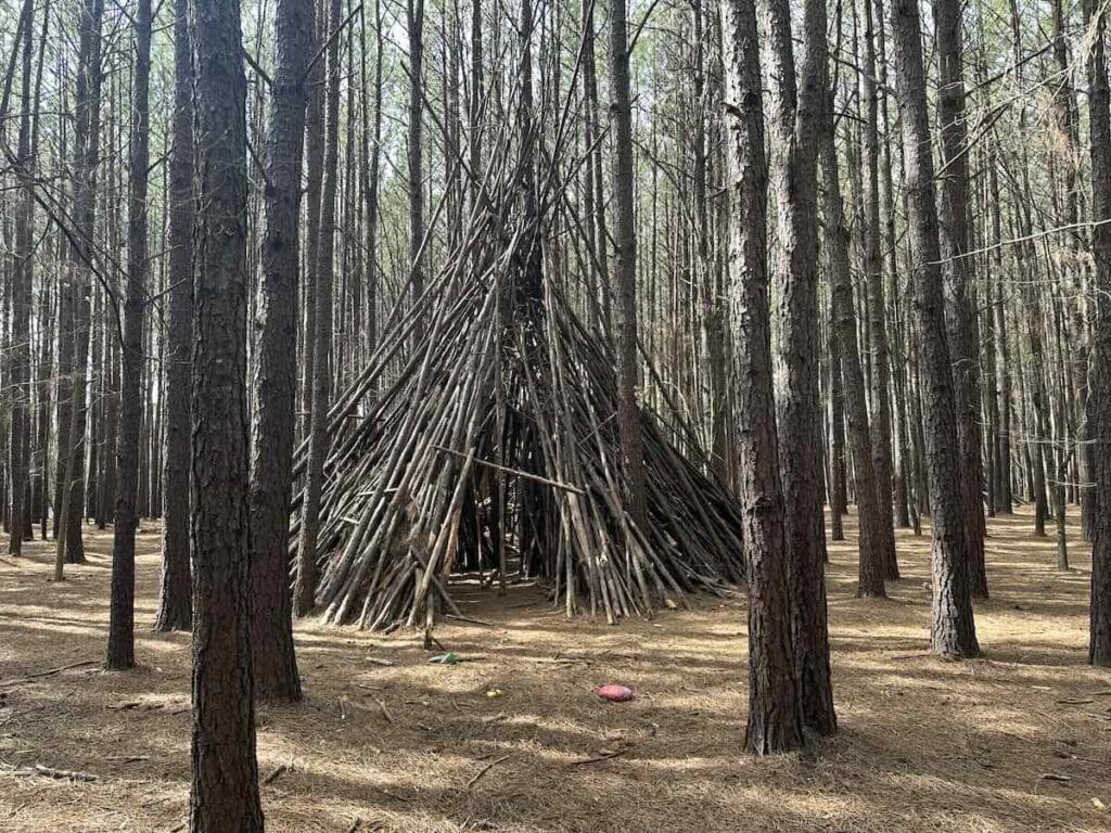 One conical structure in the woods