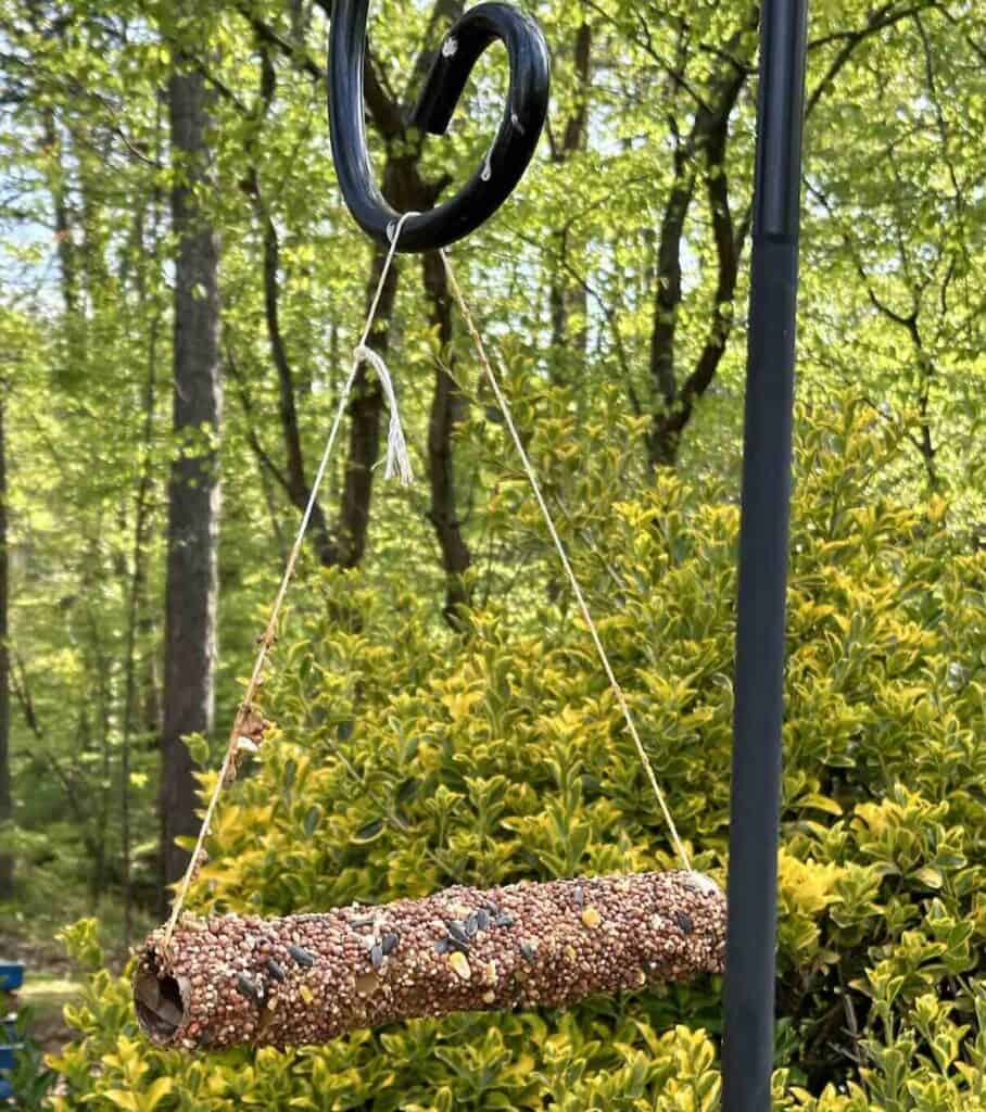 bird feeder made from a paper towel roll