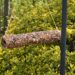 bird feeder made from a paper towel roll