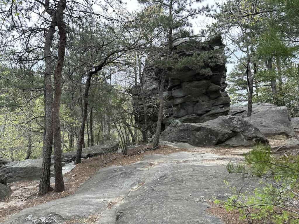 Huge rock at Rock Garden Trail in Hanging Rock State Park.