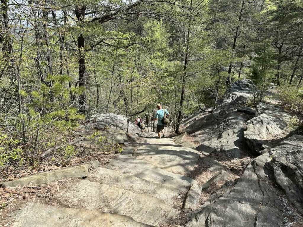 Steps down to Window Falls at Hanging Rock State Park