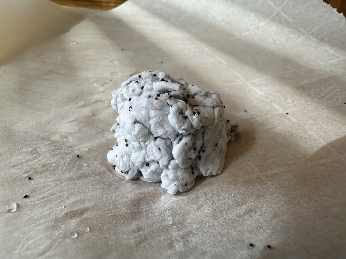 "seed bomb" made from paper pulp and seeds