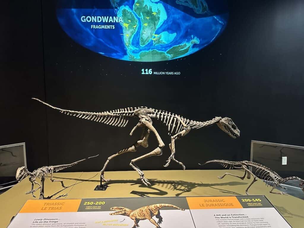 Ultimate Dinosaurs at Discovery Place Science in Charlotte