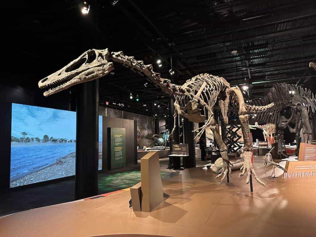 Ultimate Dinosaurs at Discovery Place Science in Charlotte