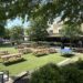 Lawn of Piedmont Social House
