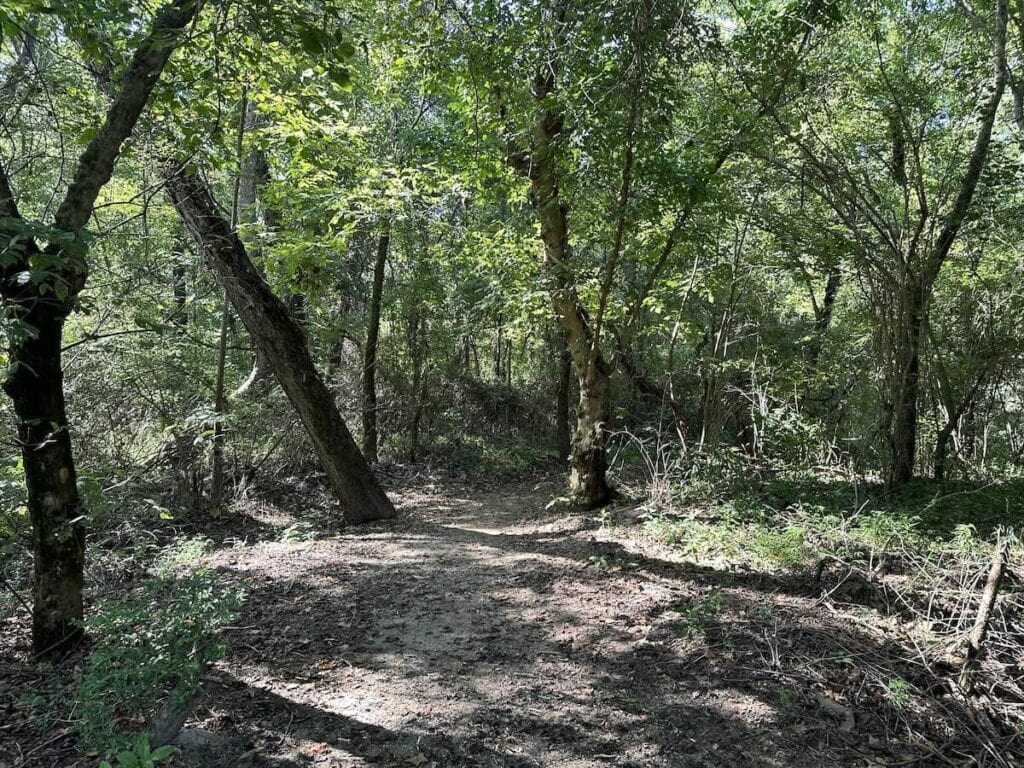First Broad River Trail