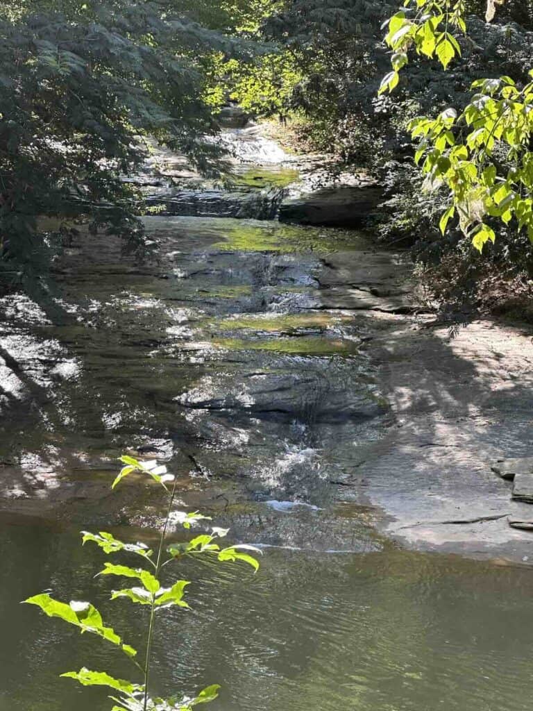 First Broad River Trail