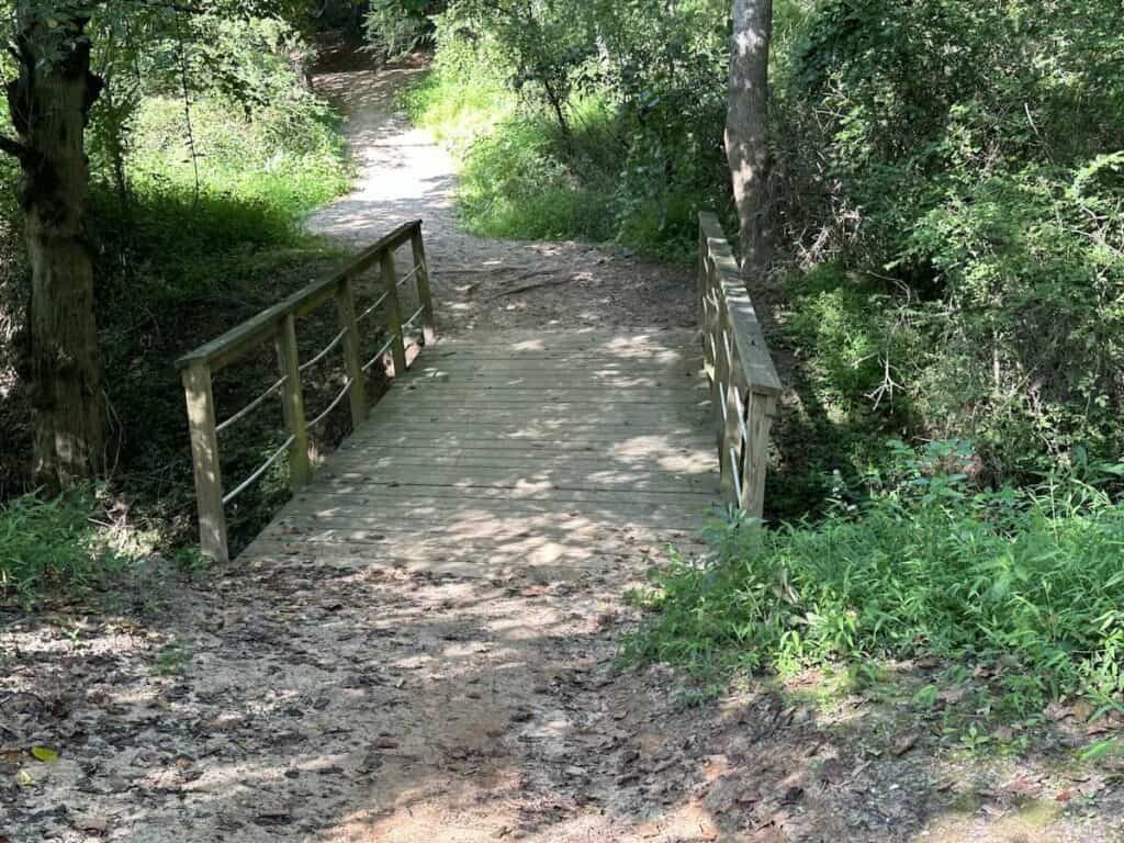 First Broad River Trail