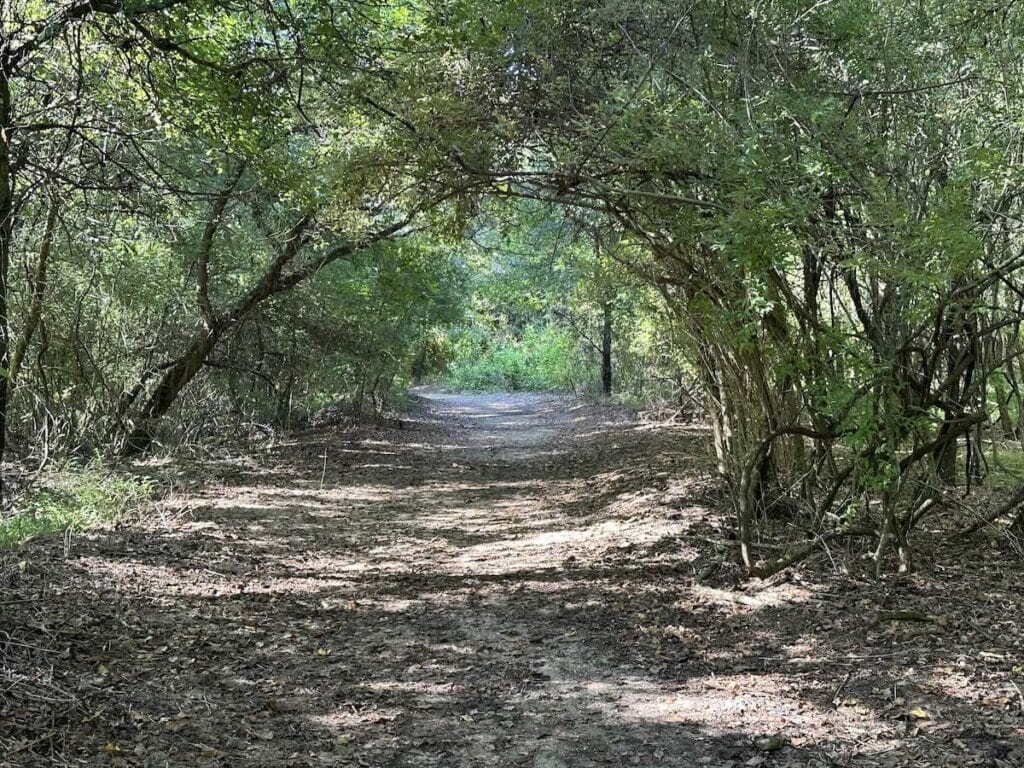 First Broad River Trail