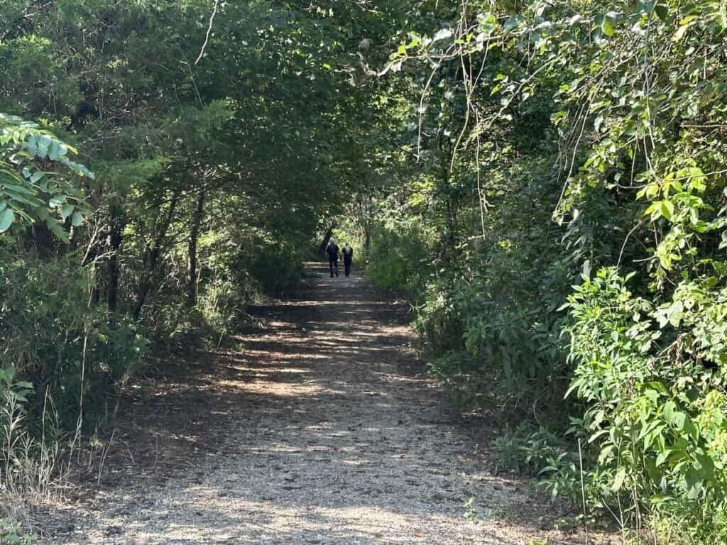 First Broad River Trail