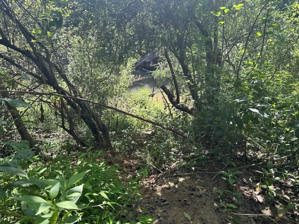 First Broad River Trail