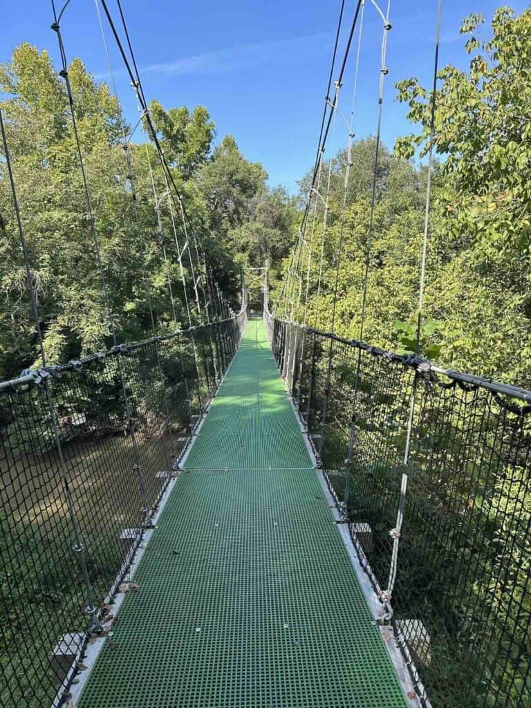 Suspension bridge at First Broad River Trail